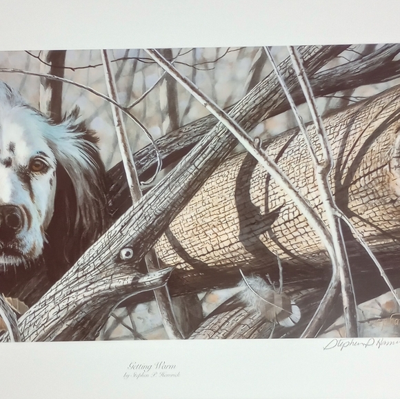 Unframed vintage limited edition print Getting Warm by Stephen Hammrick - Picture 2 of 6
